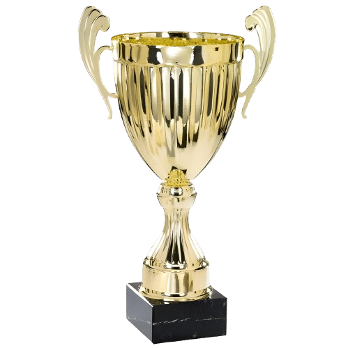 Image d'un trophée